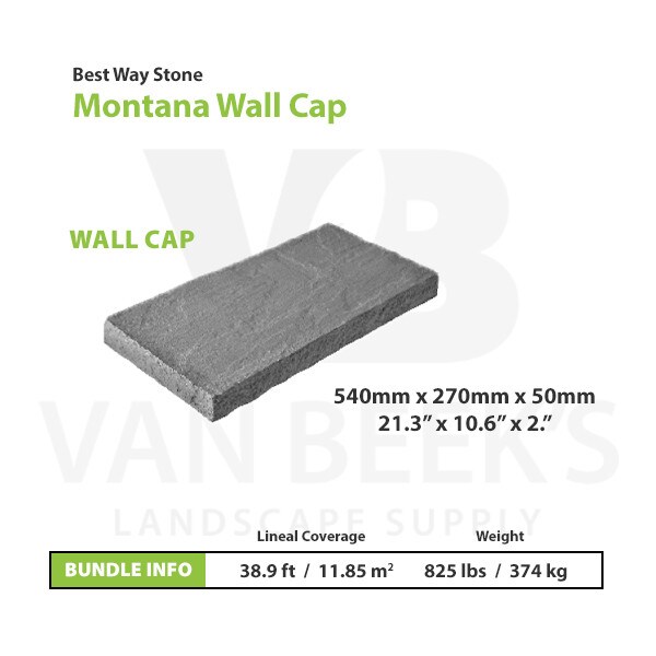 BWS Montana Wall Cap